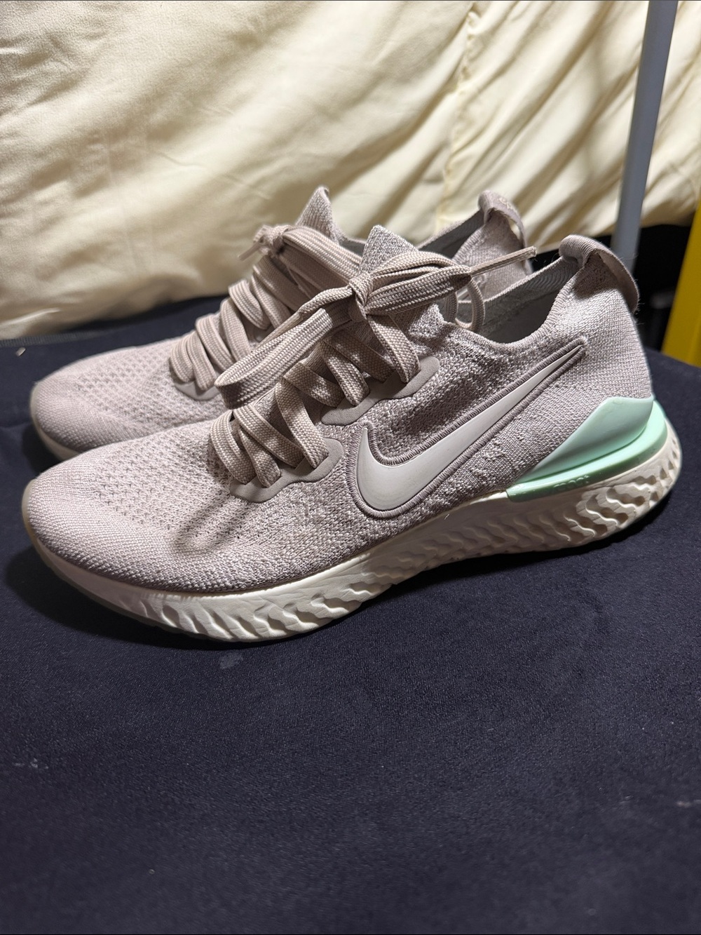 Nike Women’s Running Shoes in Blush with Mint Heel Accent